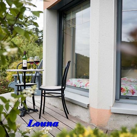 Appartements 5 Personnes Maya Et Louna Xonrupt-Longemer Exteriör bild