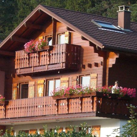 Appartements 5 Personnes Maya Et Louna Xonrupt-Longemer Exteriör bild