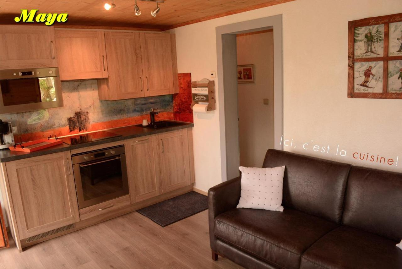 Appartements 5 Personnes Maya Et Louna Xonrupt-Longemer Exteriör bild