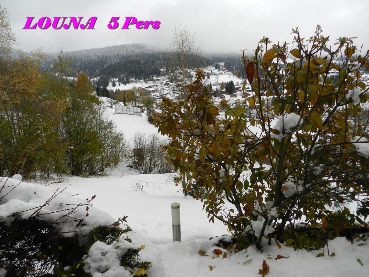 Appartements 5 Personnes Maya Et Louna Xonrupt-Longemer Exteriör bild