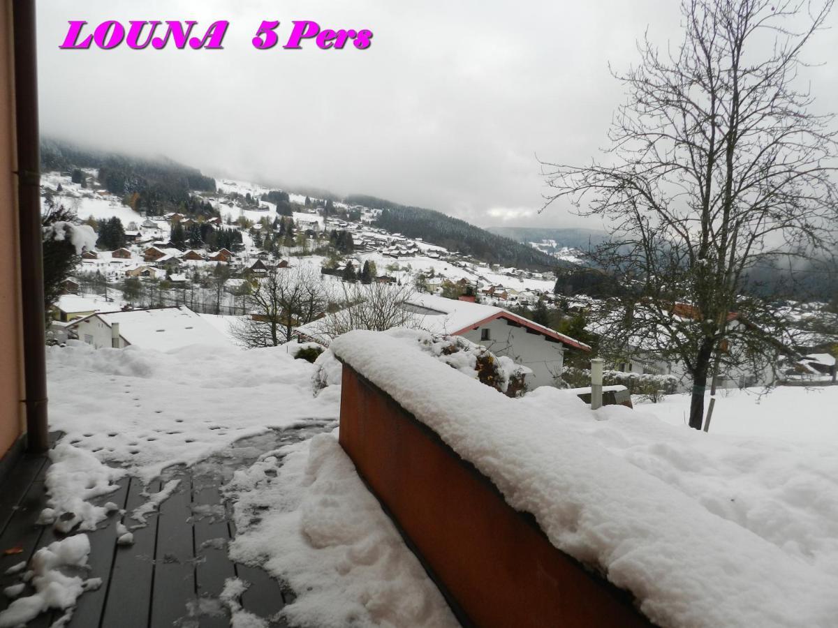 Appartements 5 Personnes Maya Et Louna Xonrupt-Longemer Exteriör bild